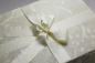 Preview: Die Accessoires-Boxen Creamy Ornaments werden mit passender Satinschleife kombiniert